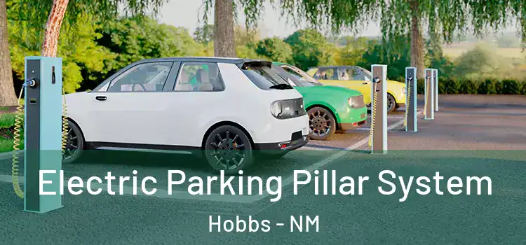 Electric Parking Pillar System Hobbs - NM