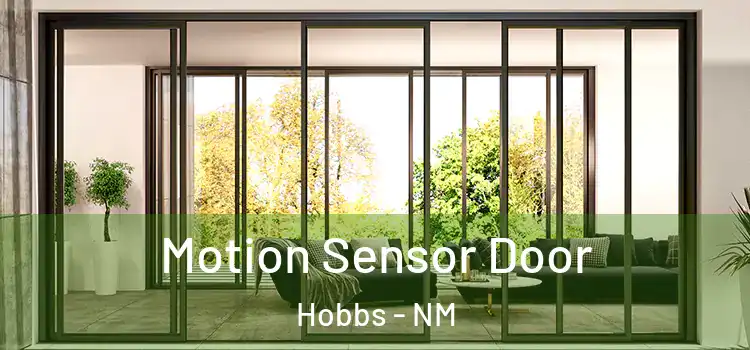 Motion Sensor Door Hobbs - NM